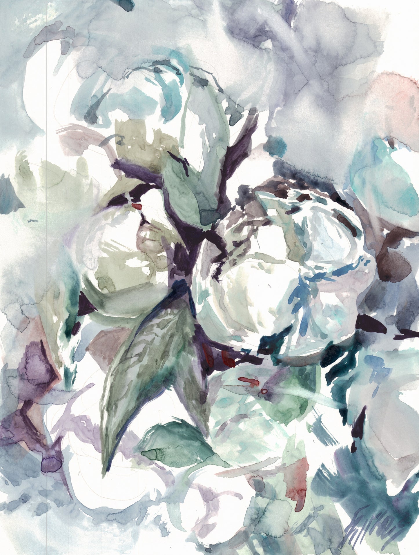 Peonies 13 - original