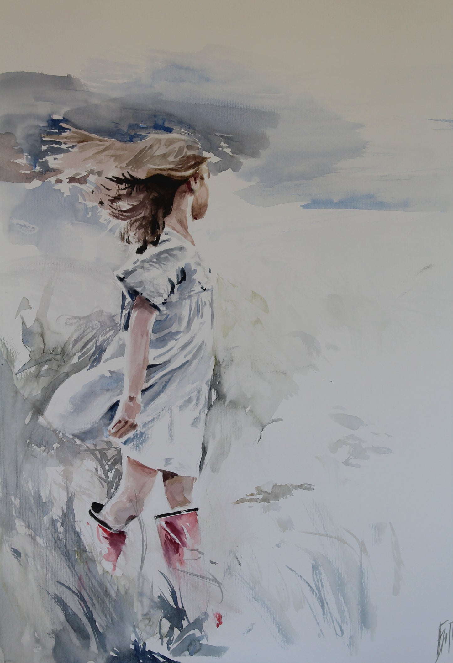 The wind