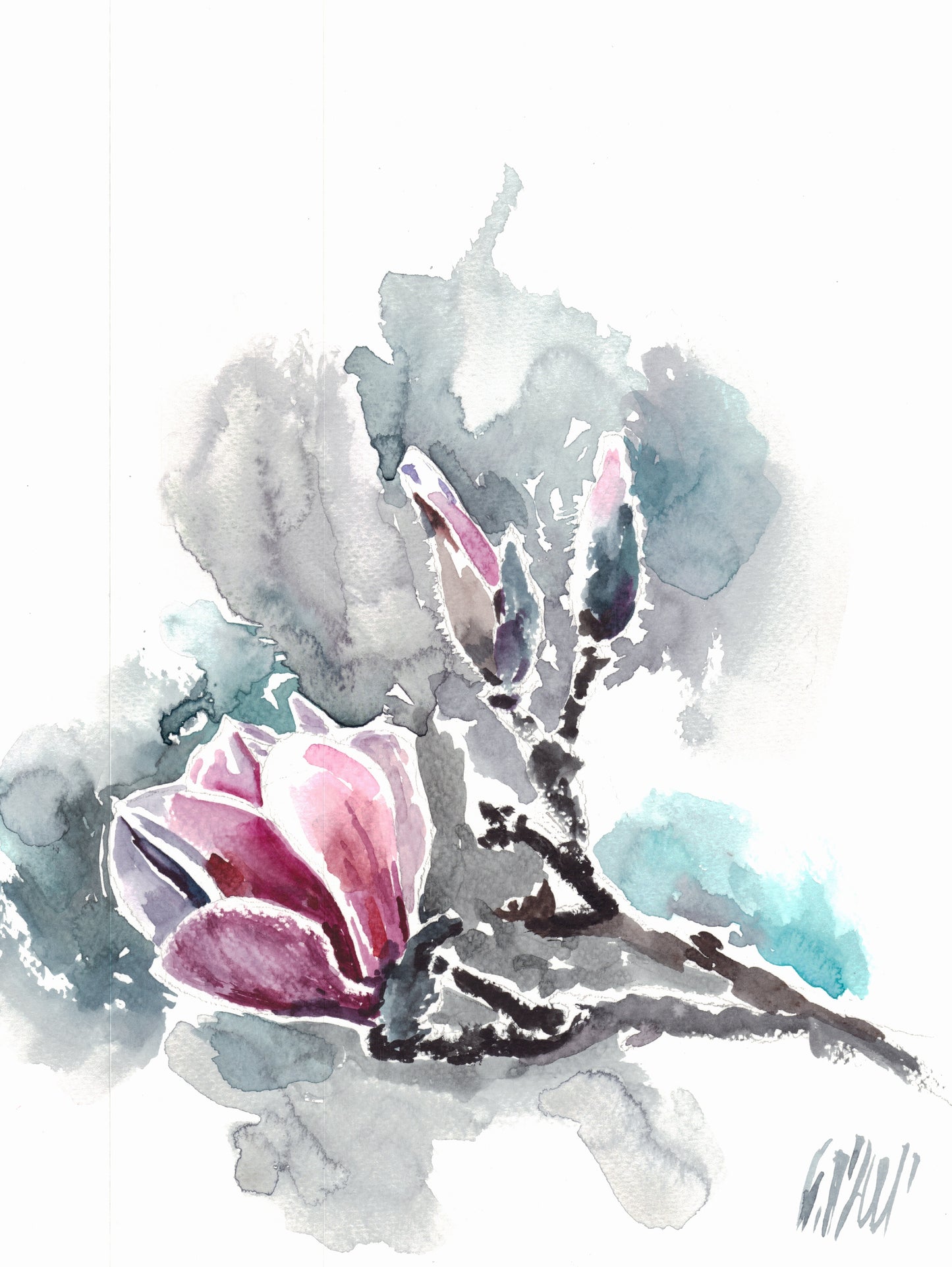 Magnolia 8 - original