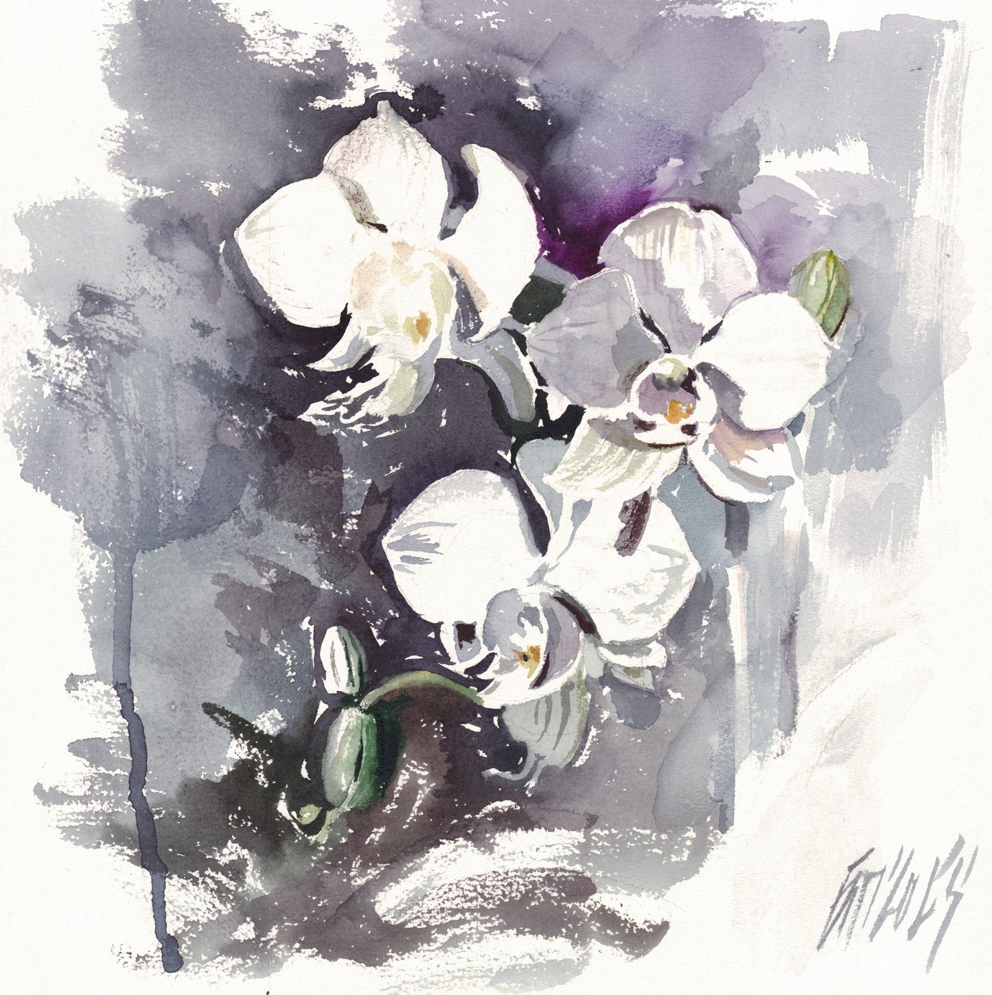 White orhid - original
