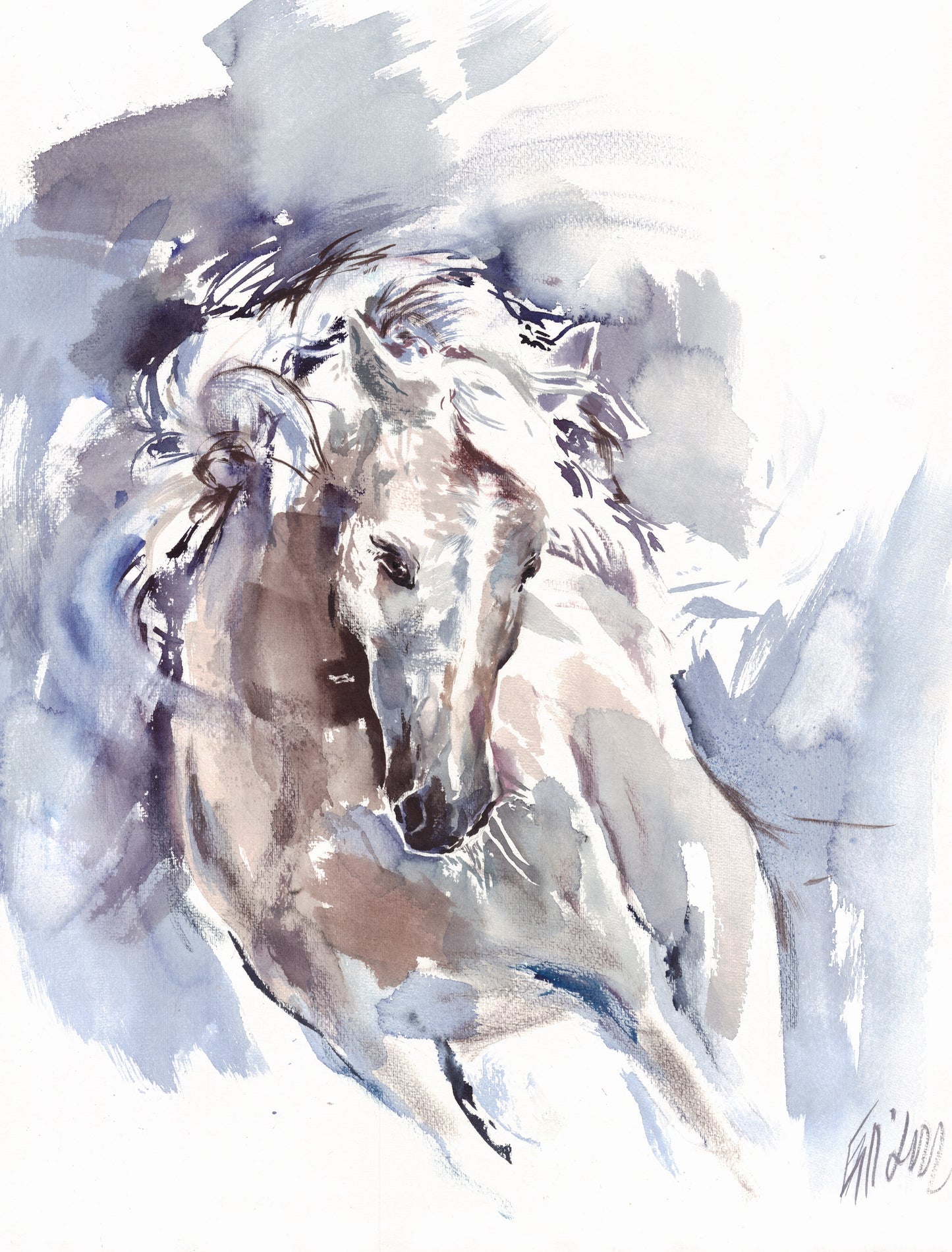 White horse 4 - print