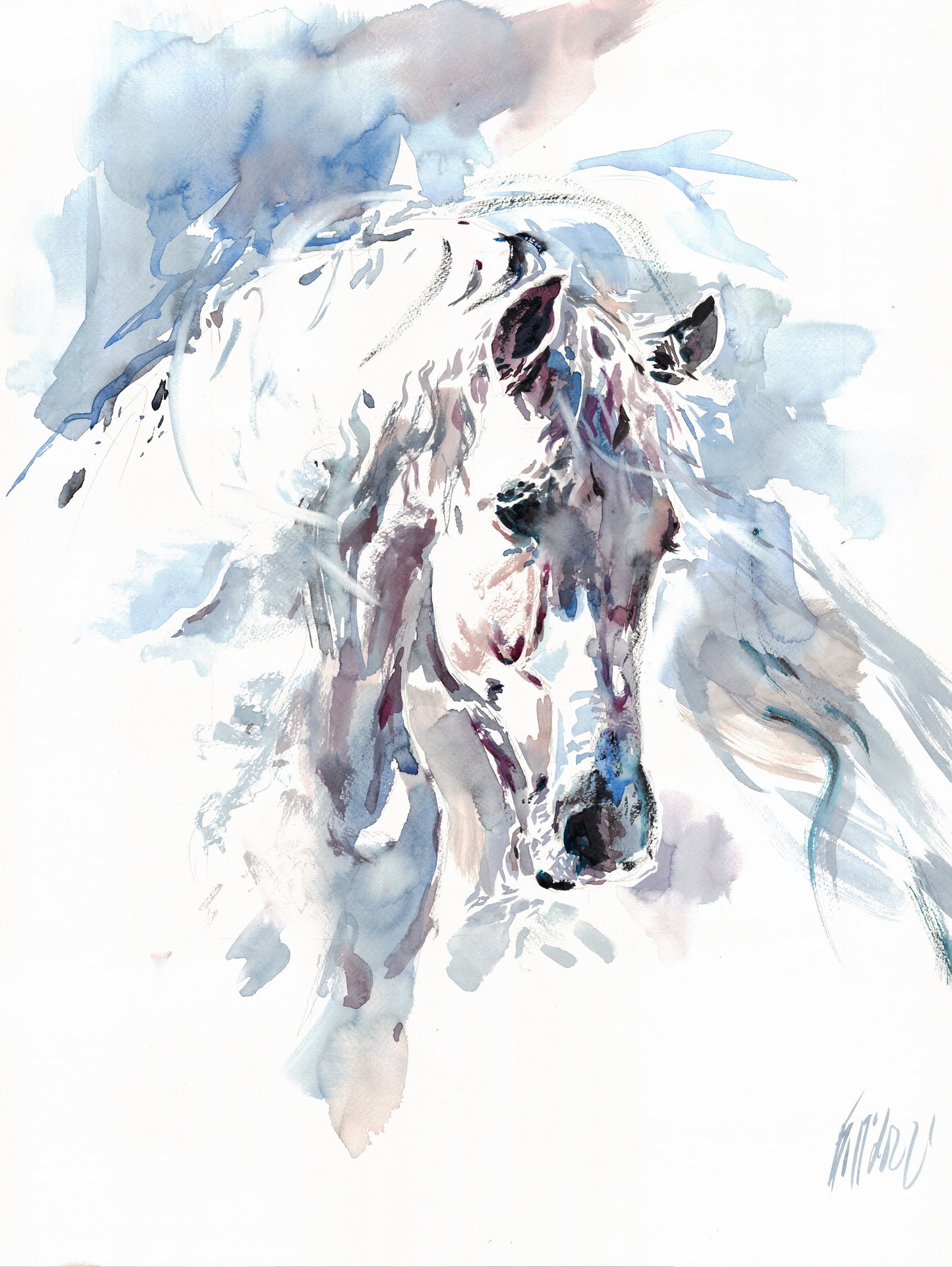 White horse - print