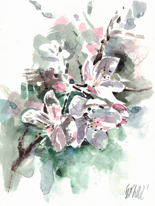 Apple blossom 3 - original