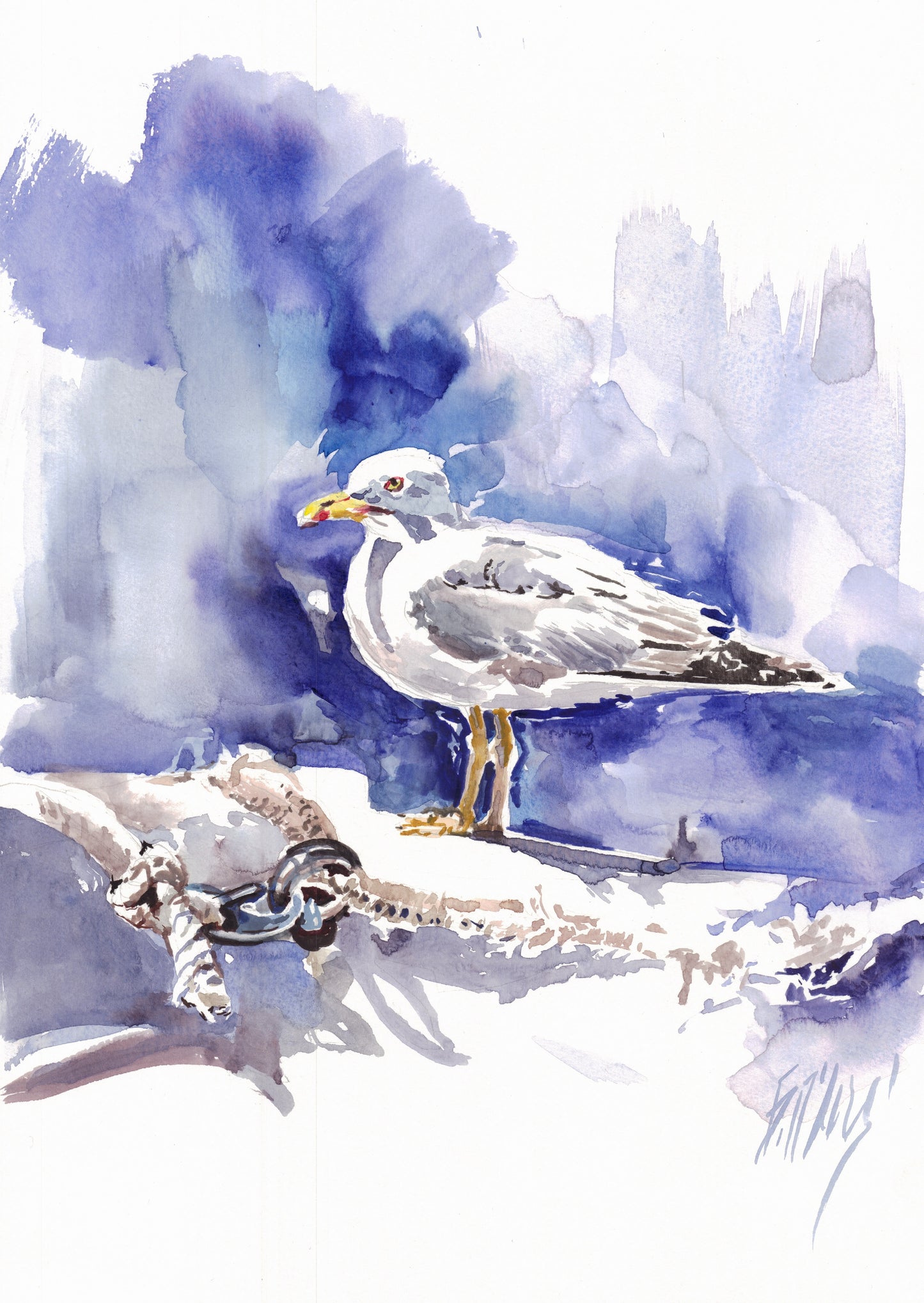 Seagull - original