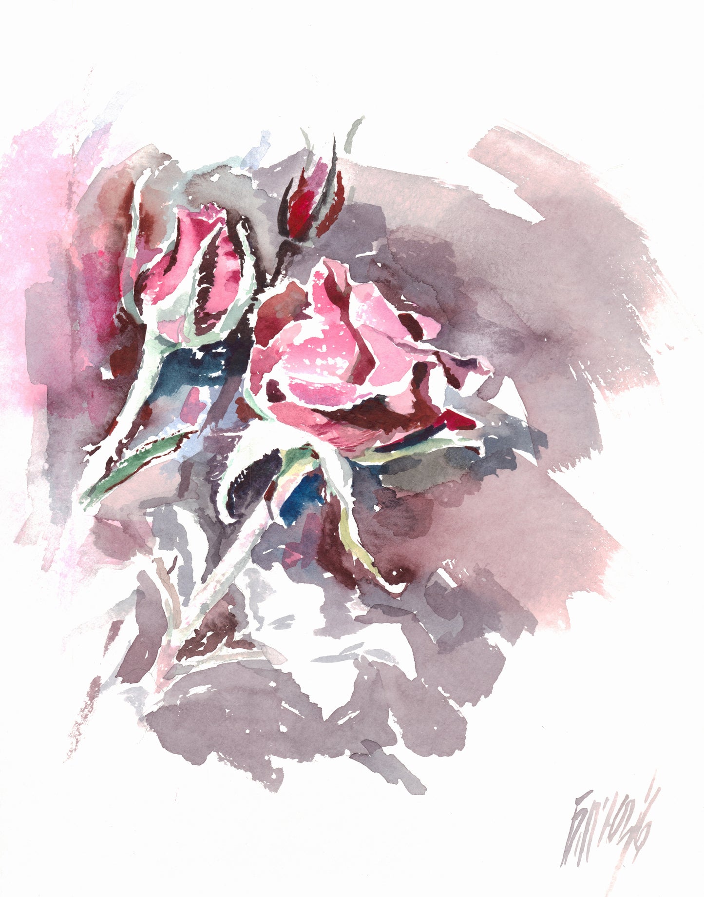 Roses 8
