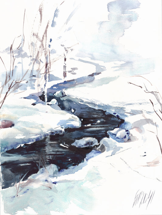 Snowy river - print