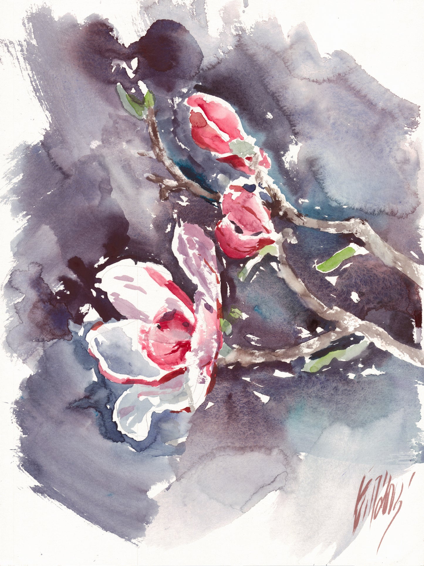 Apple blossom - print