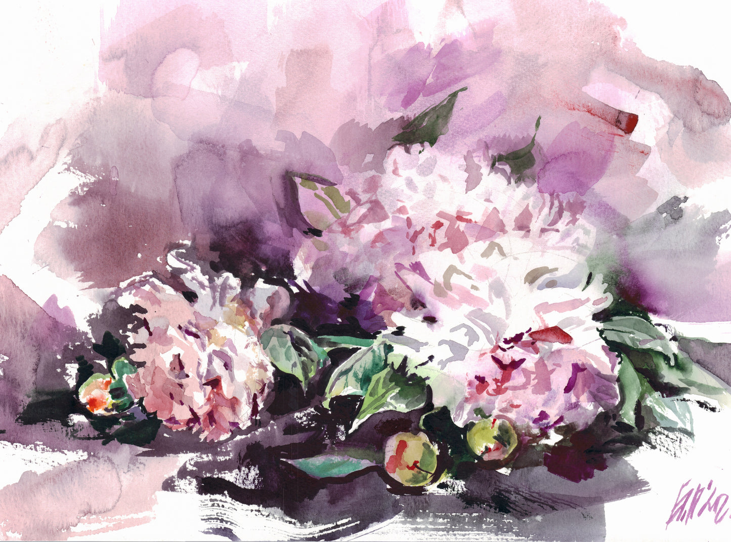 White peonies 2 - print