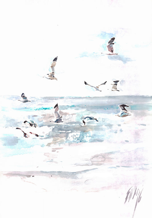 Sea and birds