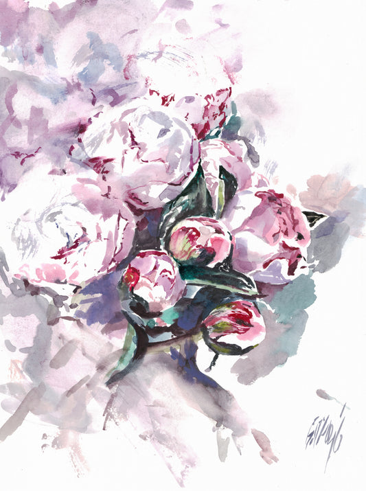 Peonies 12