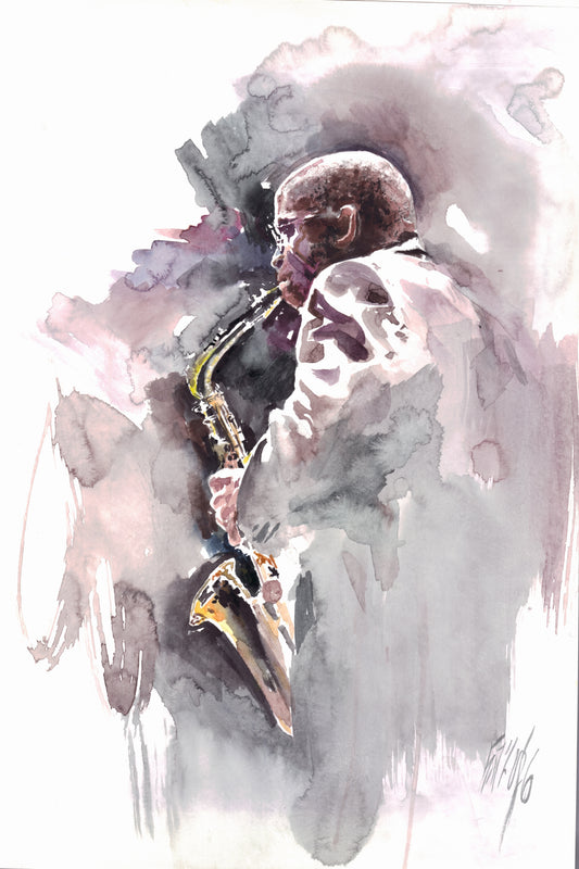 The musician 4
