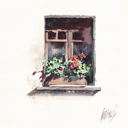The window 7