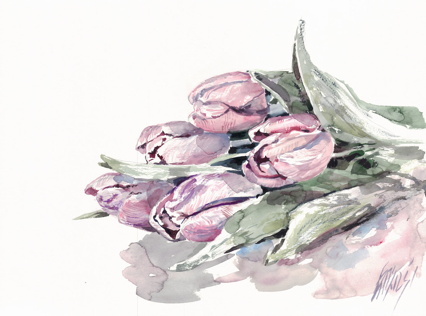 Tulips - original
