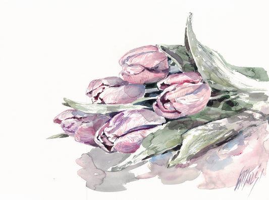Tulips - original
